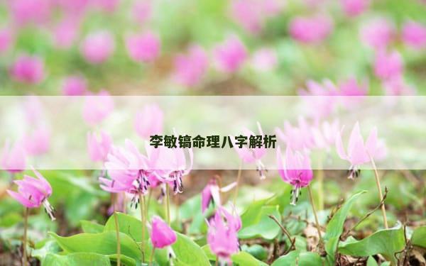 李敏镐命理八字解析