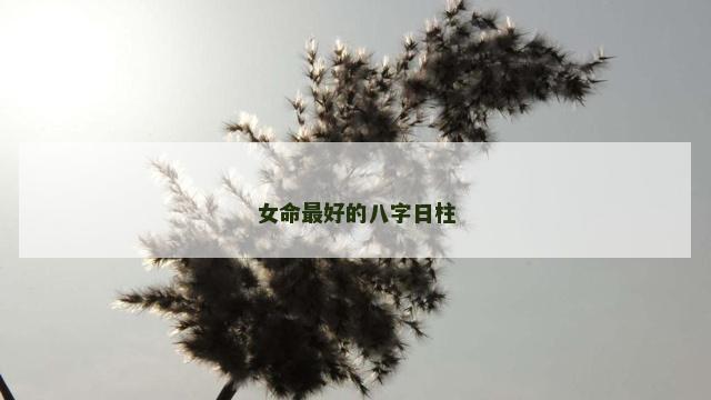 女命最好的八字日柱