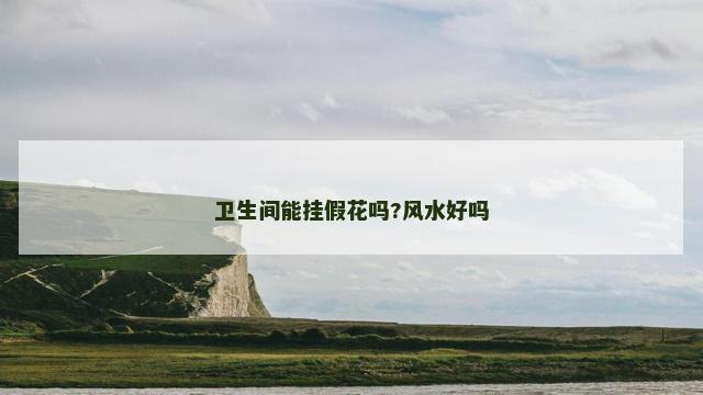 卫生间能挂假花吗?风水好吗