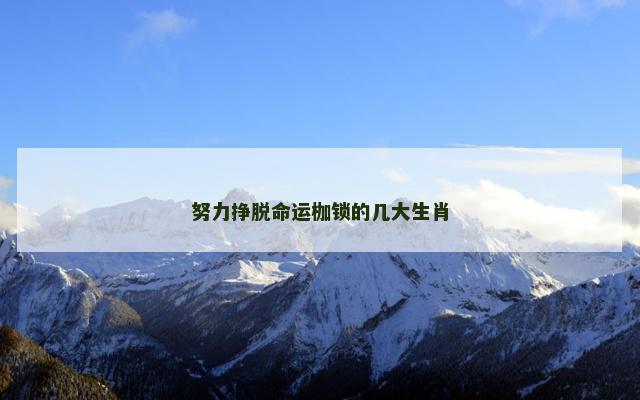 努力挣脱命运枷锁的几大生肖