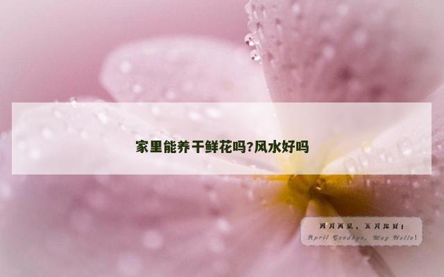 家里能养干鲜花吗?风水好吗