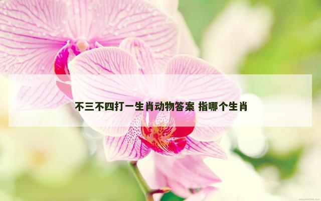 不三不四打一生肖动物答案 指哪个生肖