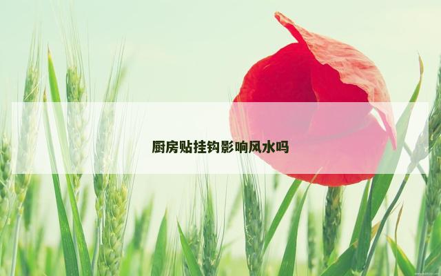 厨房贴挂钩影响风水吗