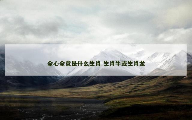 全心全意是什么生肖 生肖牛或生肖龙