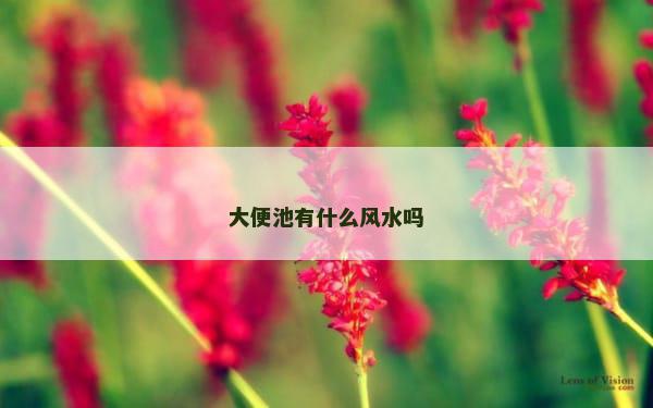 大便池有什么风水吗