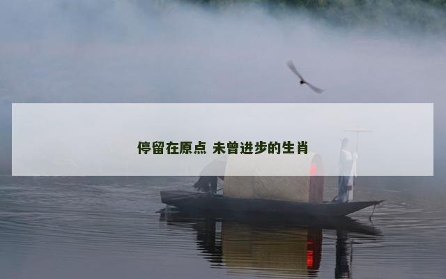 停留在原点 未曾进步的生肖