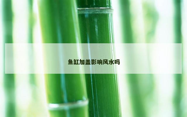 鱼缸加盖影响风水吗