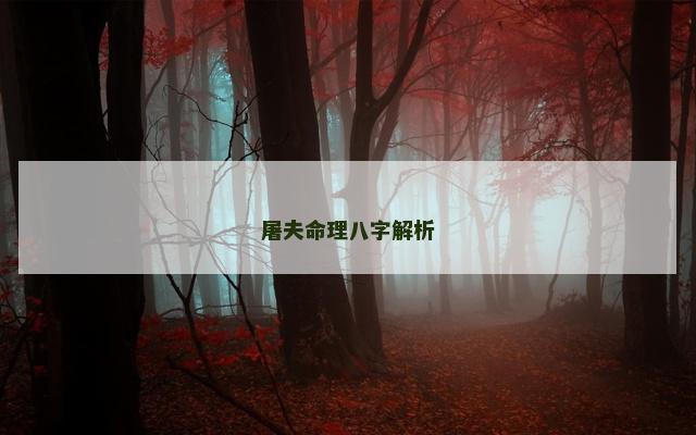 屠夫命理八字解析