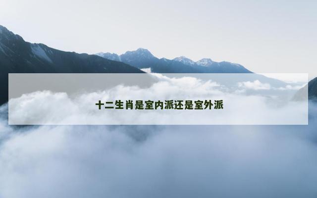 十二生肖是室内派还是室外派