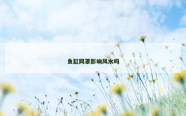 鱼缸网罩影响风水吗