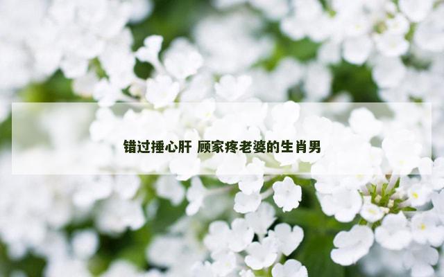 错过捶心肝 顾家疼老婆的生肖男