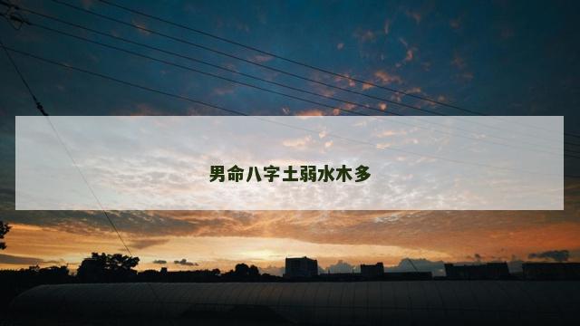 男命八字土弱水木多
