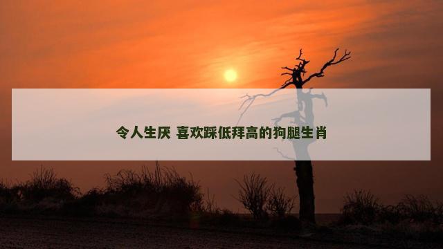令人生厌 喜欢踩低拜高的狗腿生肖