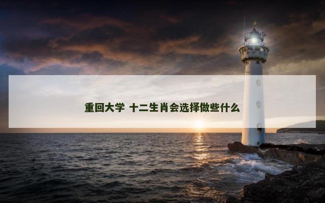 重回大学 十二生肖会选择做些什么