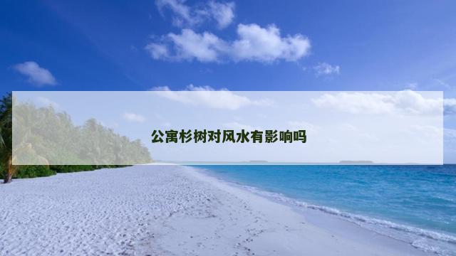 公寓杉树对风水有影响吗
