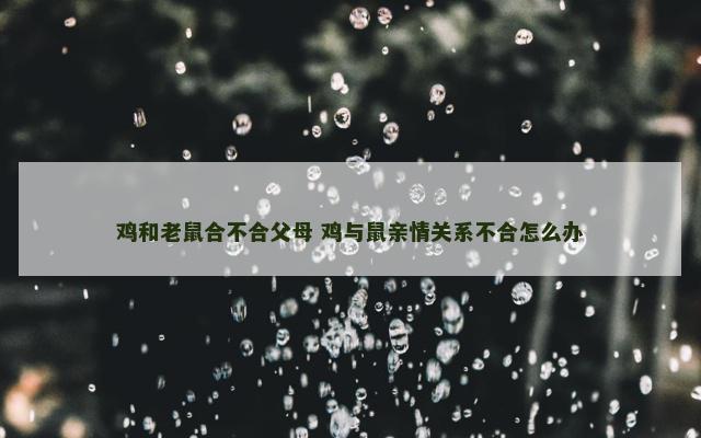 鸡和老鼠合不合父母 鸡与鼠亲情关系不合怎么办