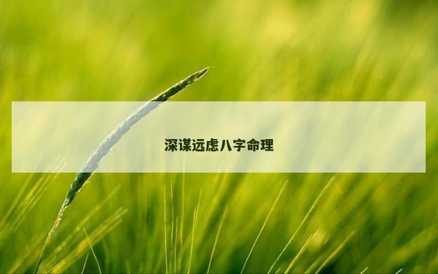 深谋远虑八字命理