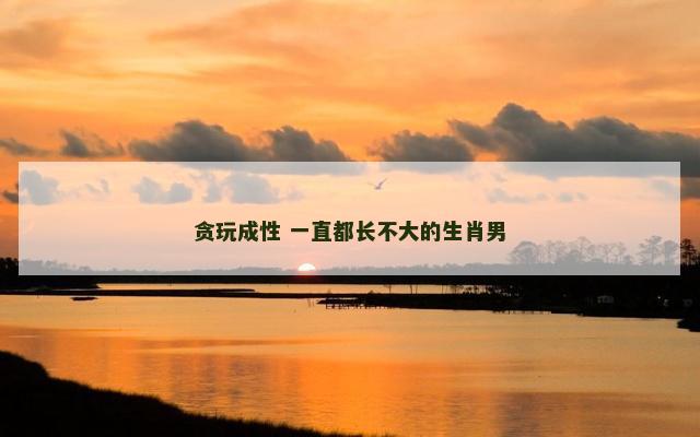 贪玩成性 一直都长不大的生肖男