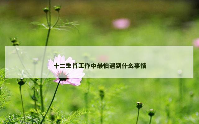 十二生肖工作中最怕遇到什么事情