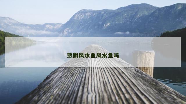慈鲷风水鱼风水鱼吗