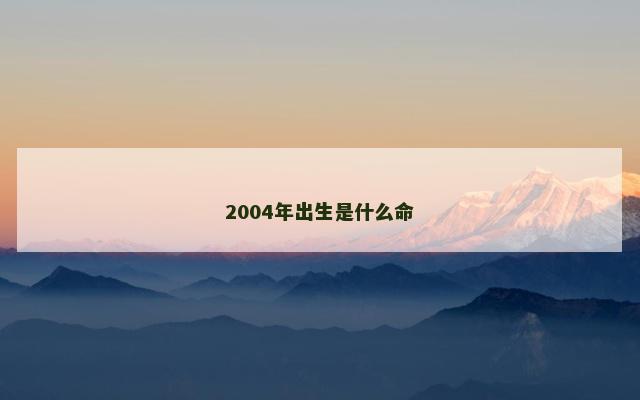 2004年出生是什么命