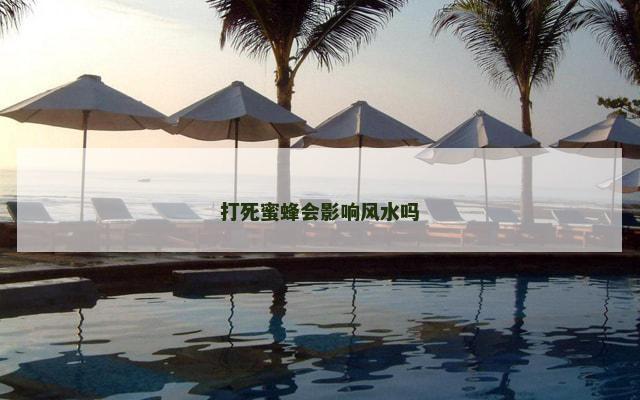 打死蜜蜂会影响风水吗