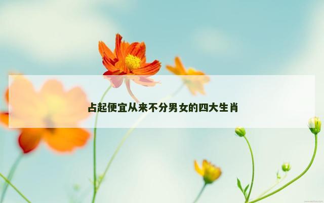 占起便宜从来不分男女的四大生肖