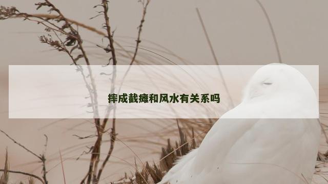 摔成截瘫和风水有关系吗