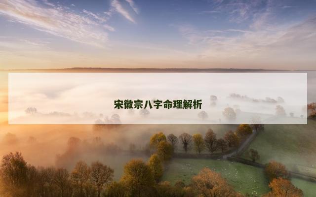 宋徽宗八字命理解析