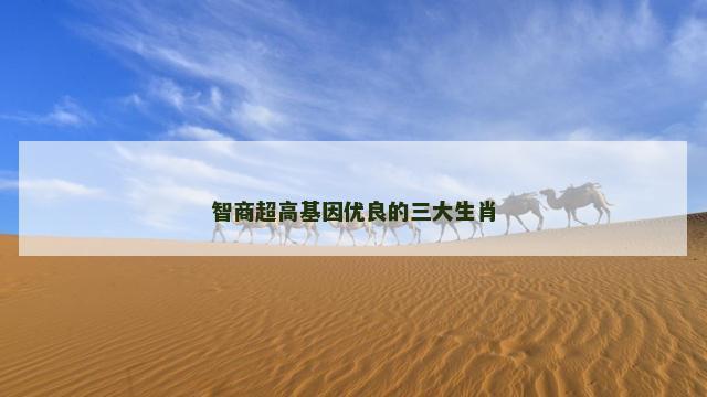 智商超高基因优良的三大生肖