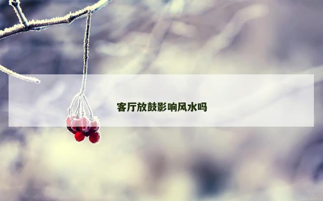 客厅放鼓影响风水吗