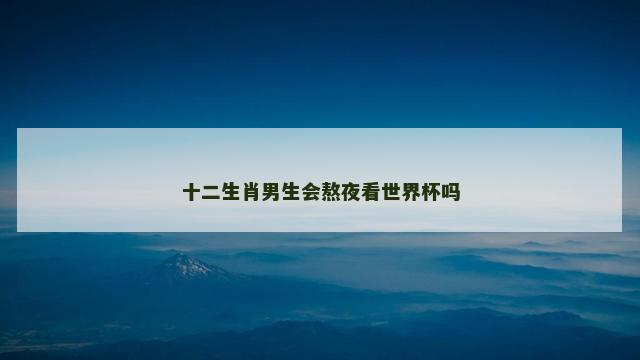 十二生肖男生会熬夜看世界杯吗