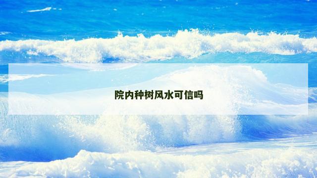院内种树风水可信吗
