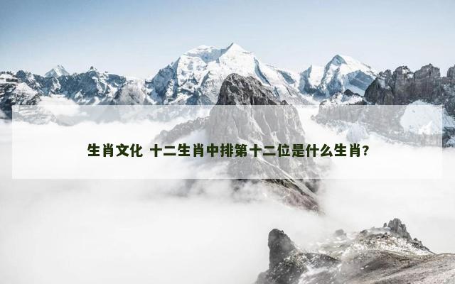 生肖文化 十二生肖中排第十二位是什么生肖?