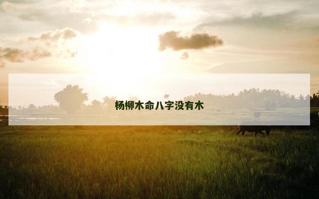 杨柳木命八字没有木