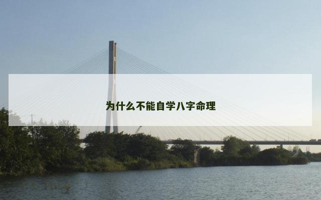 为什么不能自学八字命理
