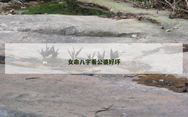 女命八字看公婆好坏