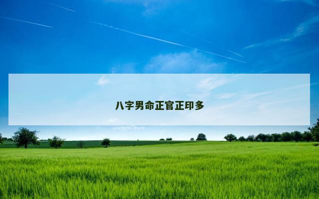 八字男命正官正印多