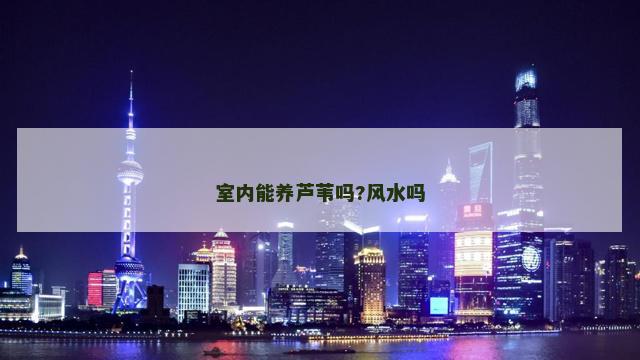 室内能养芦苇吗?风水吗