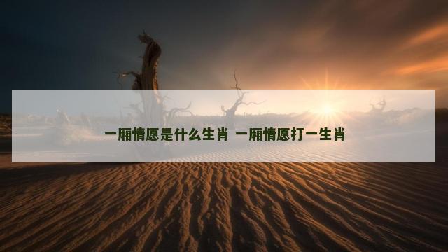 一厢情愿是什么生肖 一厢情愿打一生肖