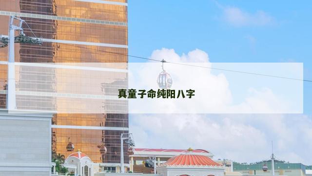 真童子命纯阳八字