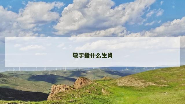 敬字指什么生肖