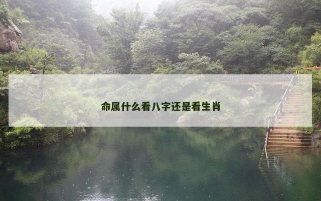 命属什么看八字还是看生肖
