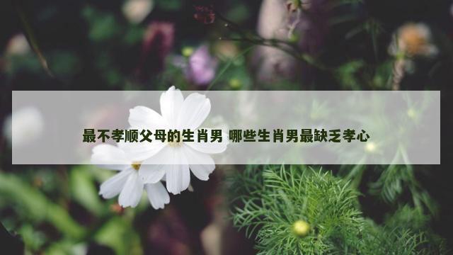 最不孝顺父母的生肖男 哪些生肖男最缺乏孝心