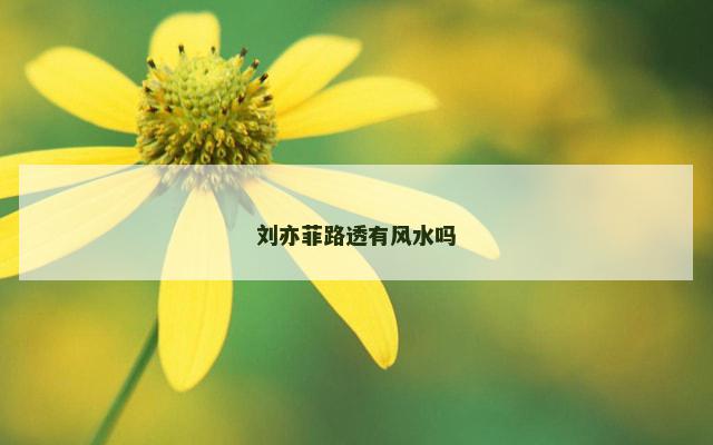 刘亦菲路透有风水吗
