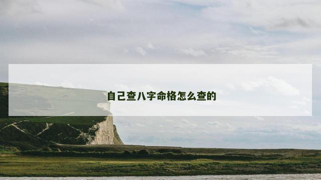 自己查八字命格怎么查的