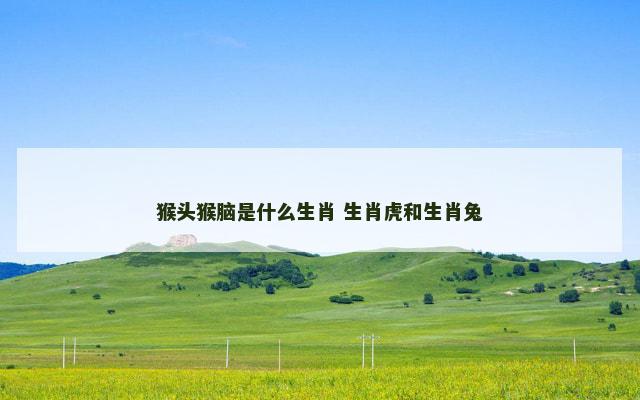 猴头猴脑是什么生肖 生肖虎和生肖兔
