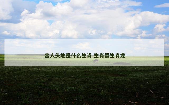 出人头地是什么生肖 生肖鼠生肖龙