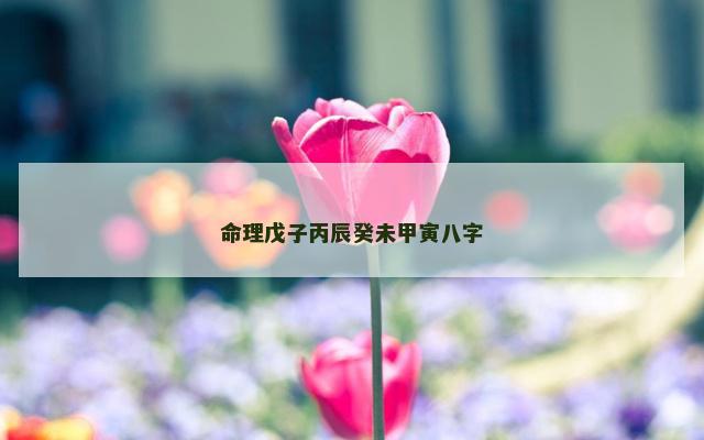 命理戊子丙辰癸未甲寅八字