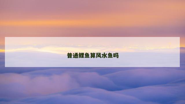 普通鲤鱼算风水鱼吗